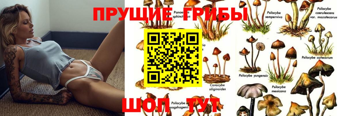 закладка  Псилоцибиновые грибы Magic Shrooms  Псилоцибиновые грибы GOLDEN TEACHER  Вход с VPN  Первоуральск 